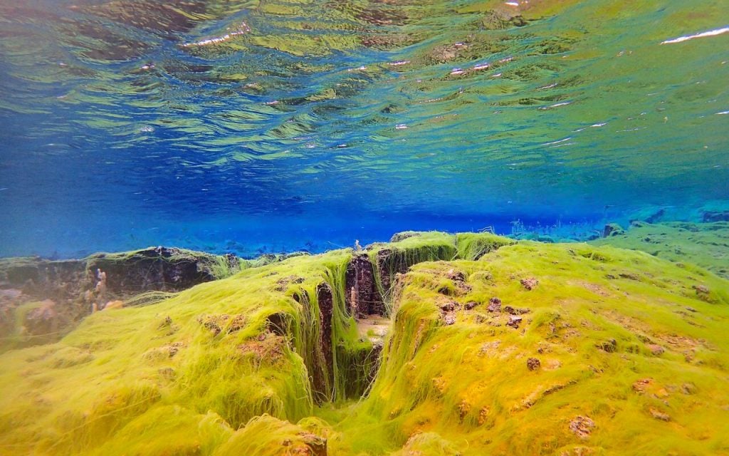 silfra thingvellir featured