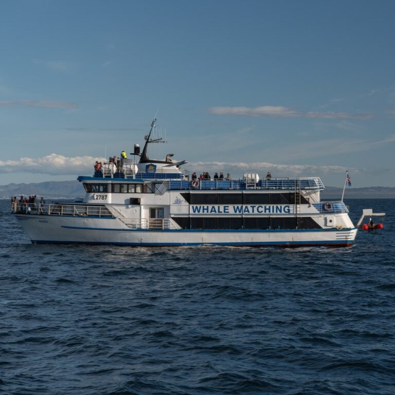 klasszikus-balnales-reykjavik-01