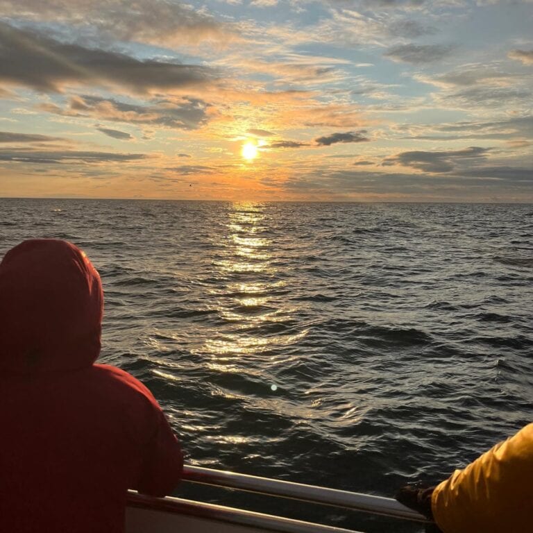 klasszikus-balnales-reykjavik-06