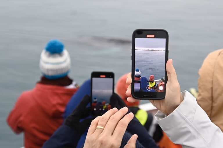 reykjavik-balnales-nagy-hajo-02