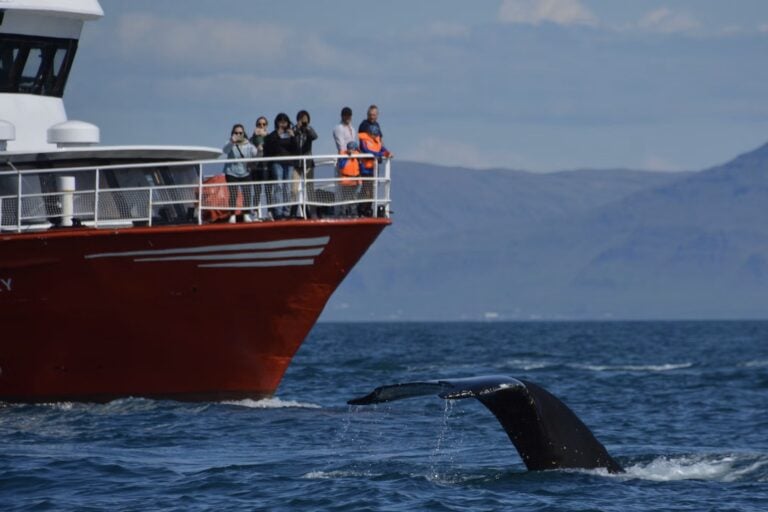 reykjavik-balnales-nagy-hajo-06