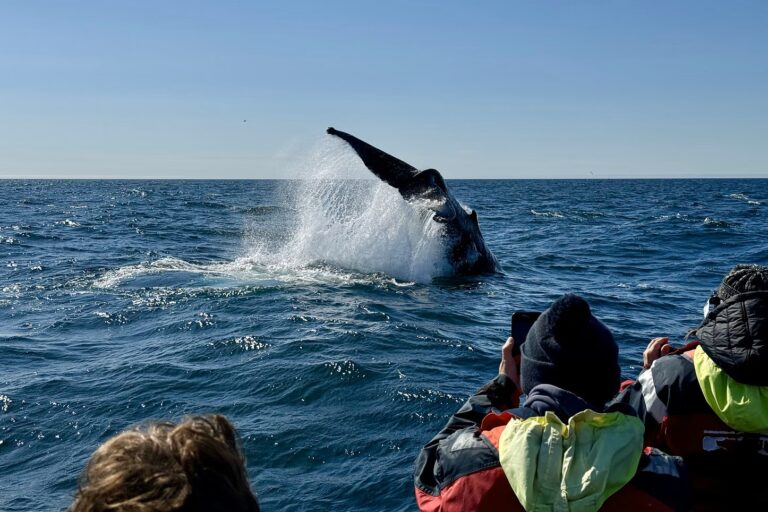 reykjavik-balnales-nagy-hajo-10