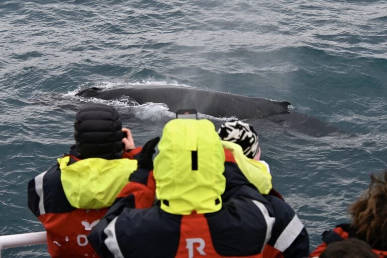 reykjavik-balnales-nagy-hajo-11