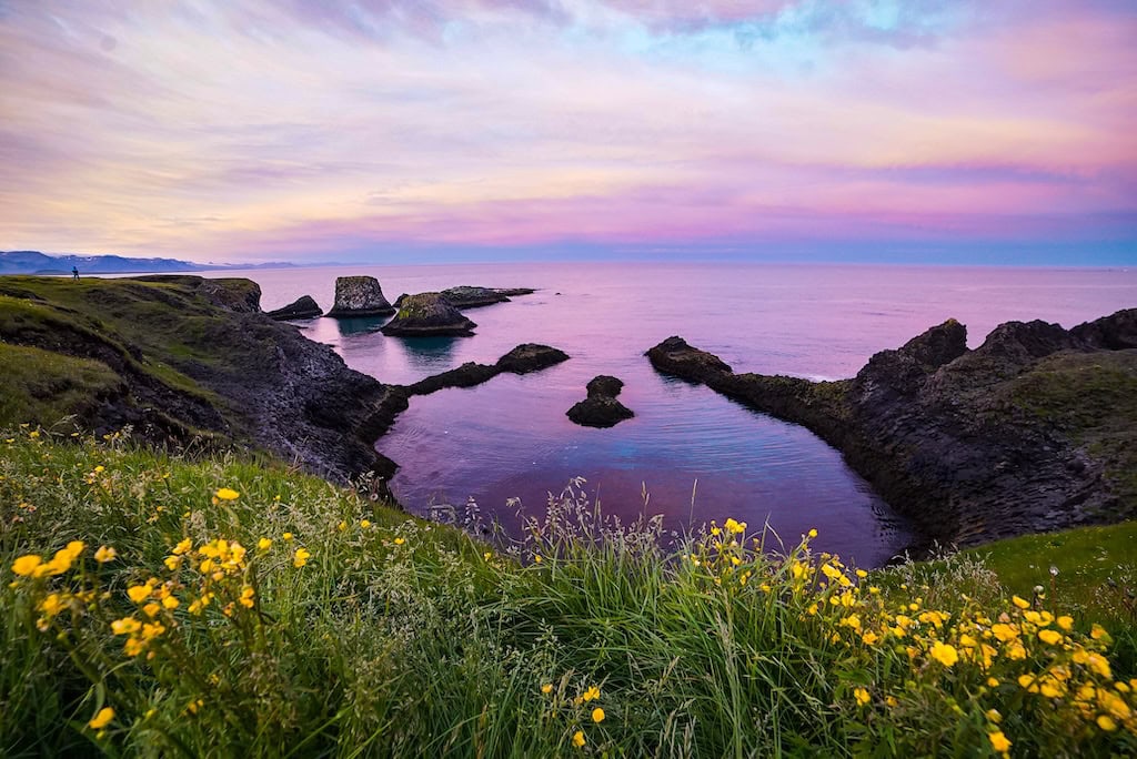 Hellnar partvidéke naplementében – Színes tengerparti sziklák és tavaszi virágok Hellnar közelében, Snæfellsnes-félsziget.