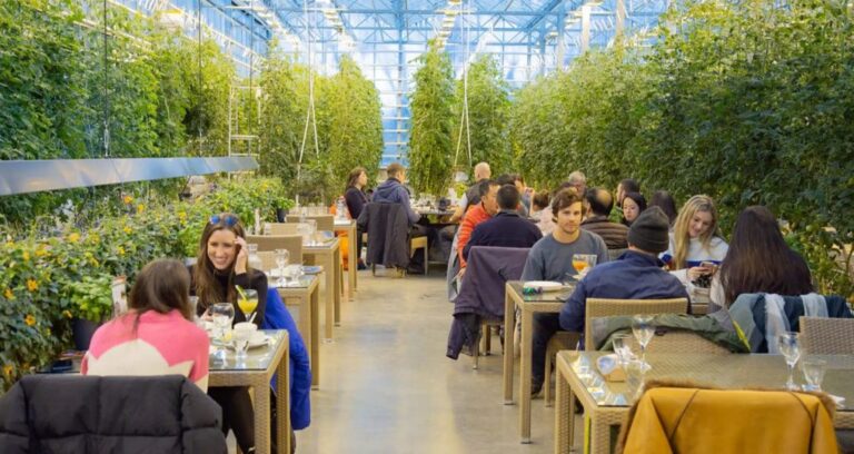 izland-arany-korut-tura-extra-megallokkal-06