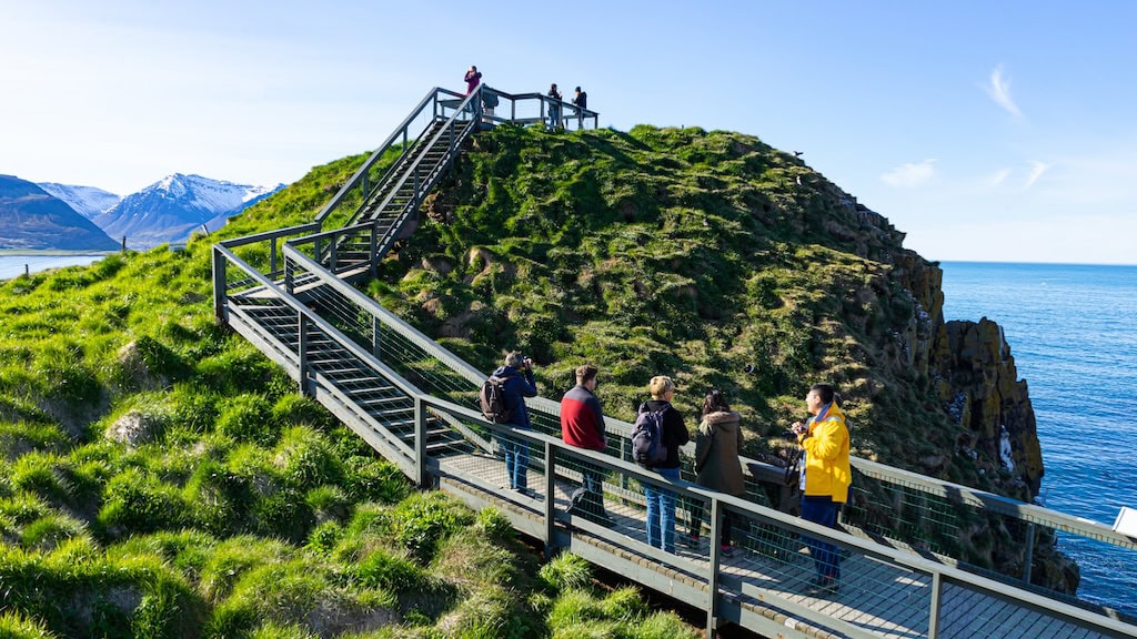 Lundanéző hely Bordarfjordur Eystri, Kelet-Izland