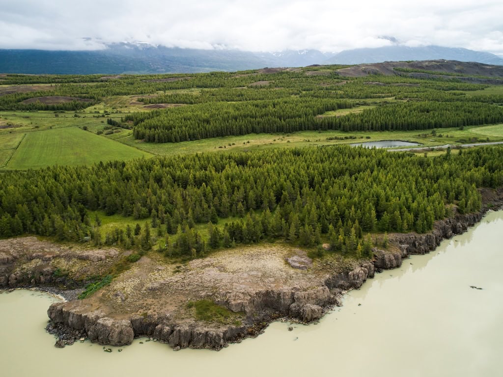 Lagarfjlót ls a hallormsstaðaskógur erdő Kelet-Izlandon
