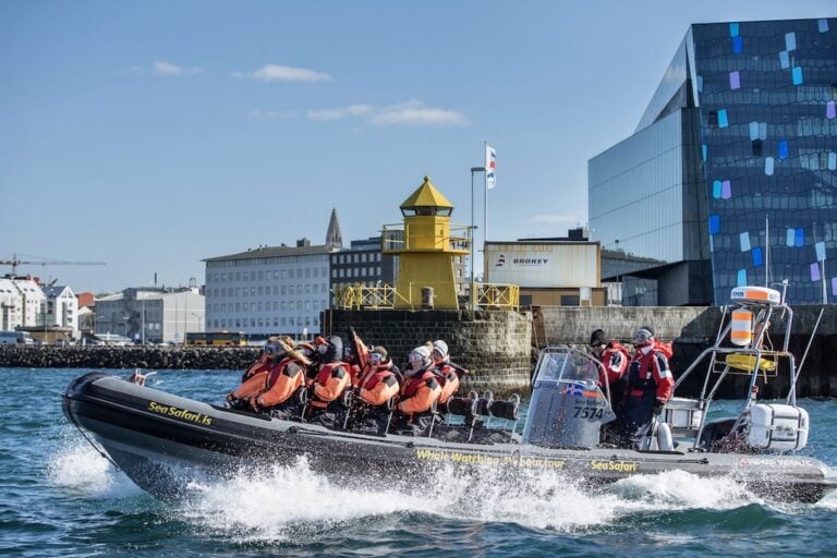 RIB hajós bálnales Reykjavík
