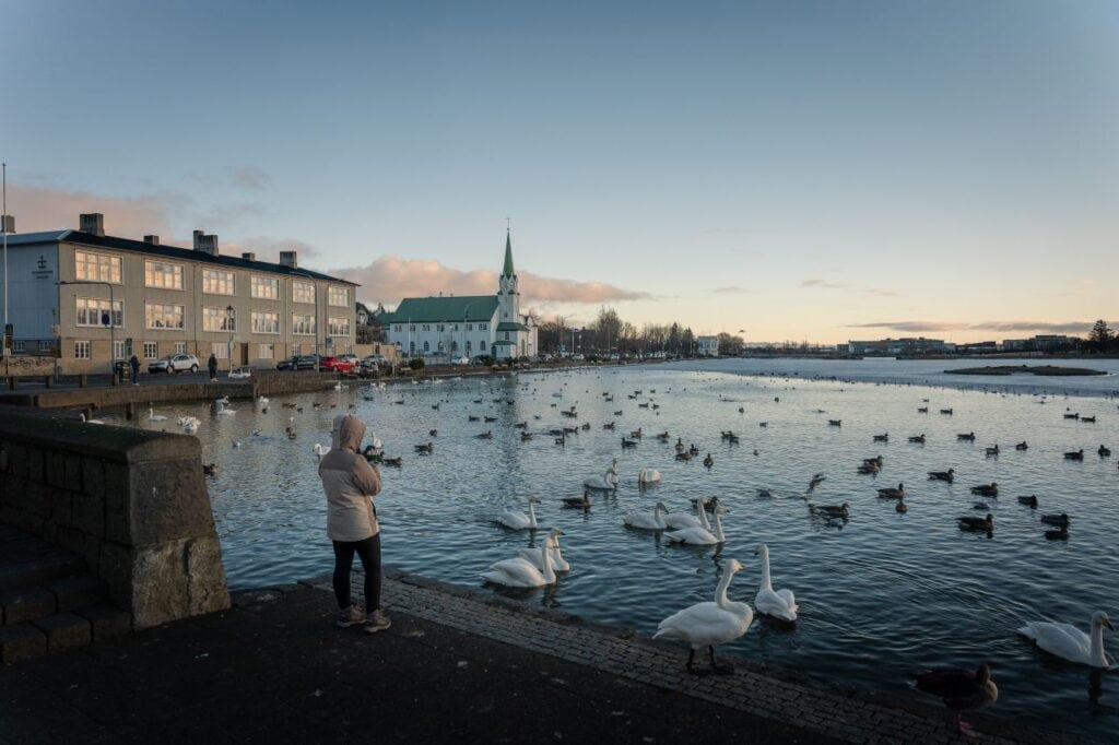 izland varosnezo seta tjornin 02