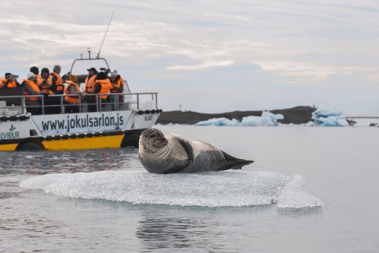 Izland Dáli Part Jökulsárlón gleccserlagúna hajózás1